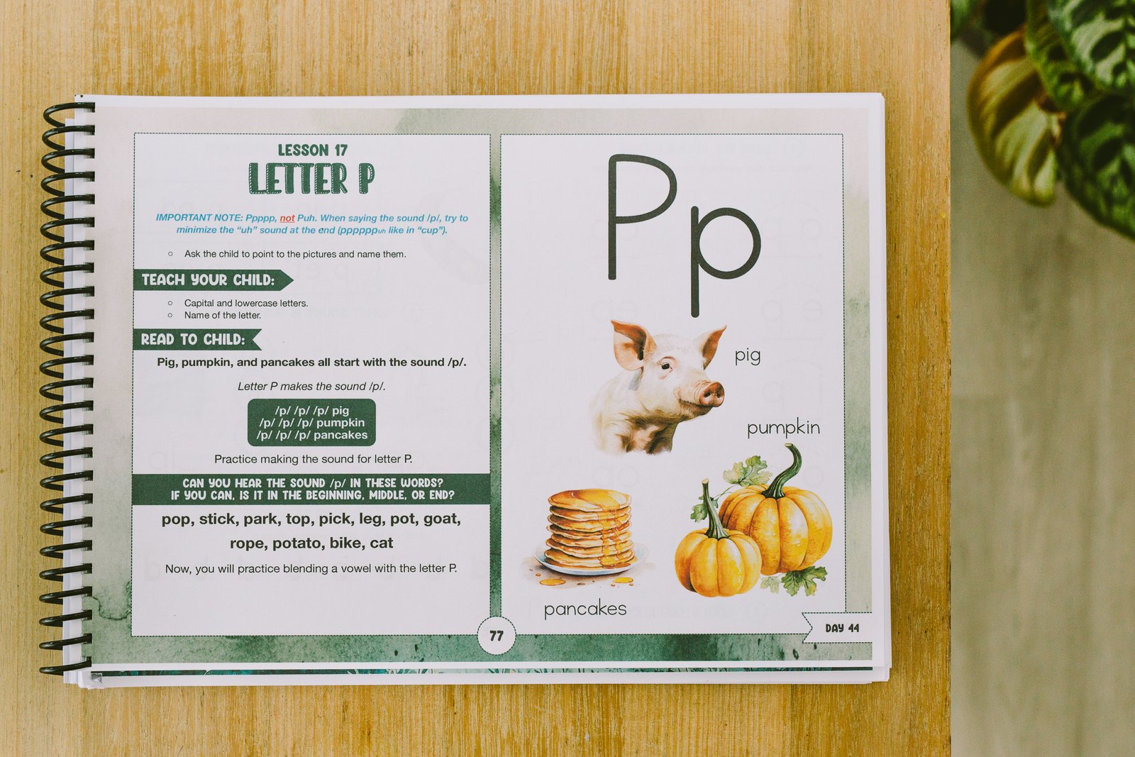 homeschool reading program, how to teach phonics